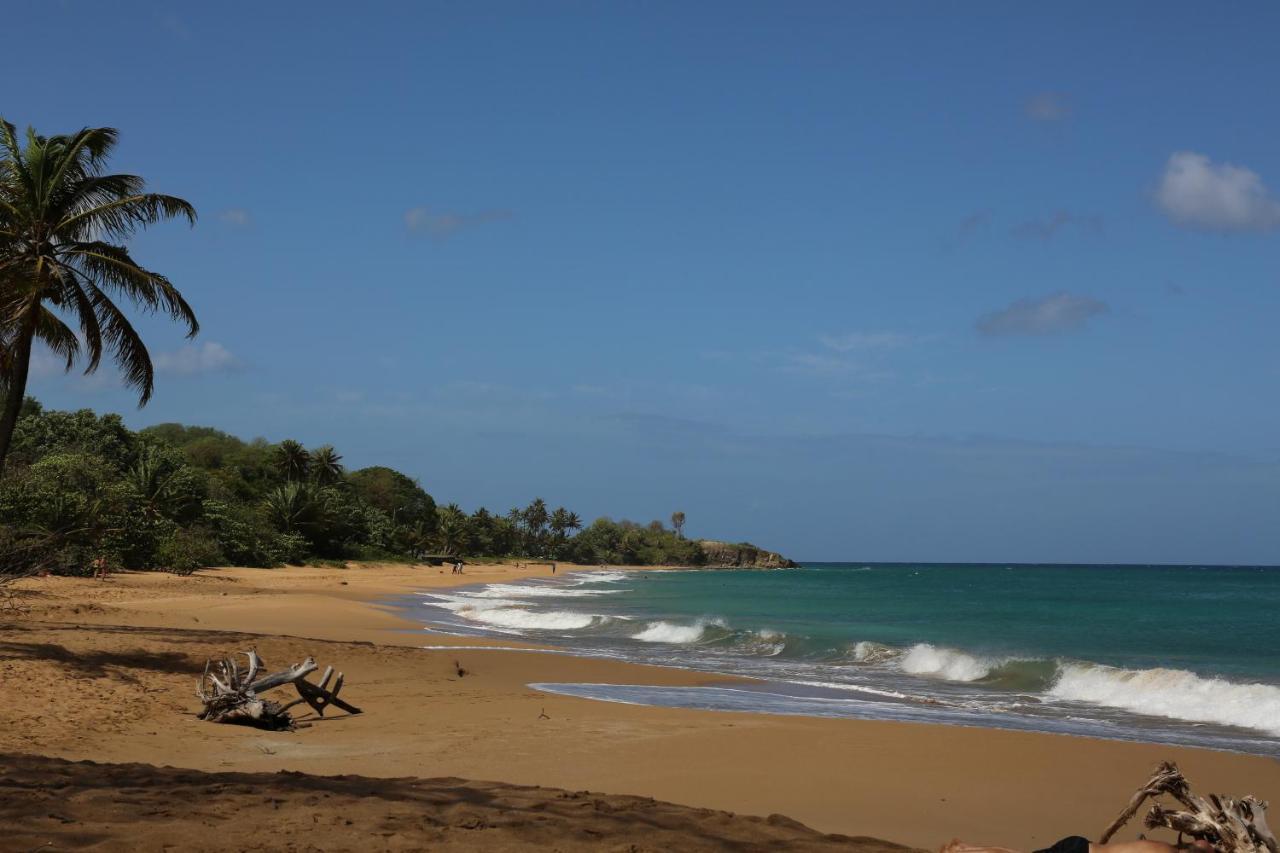 Caribbean Sea Apartamento Bouillante Exterior foto