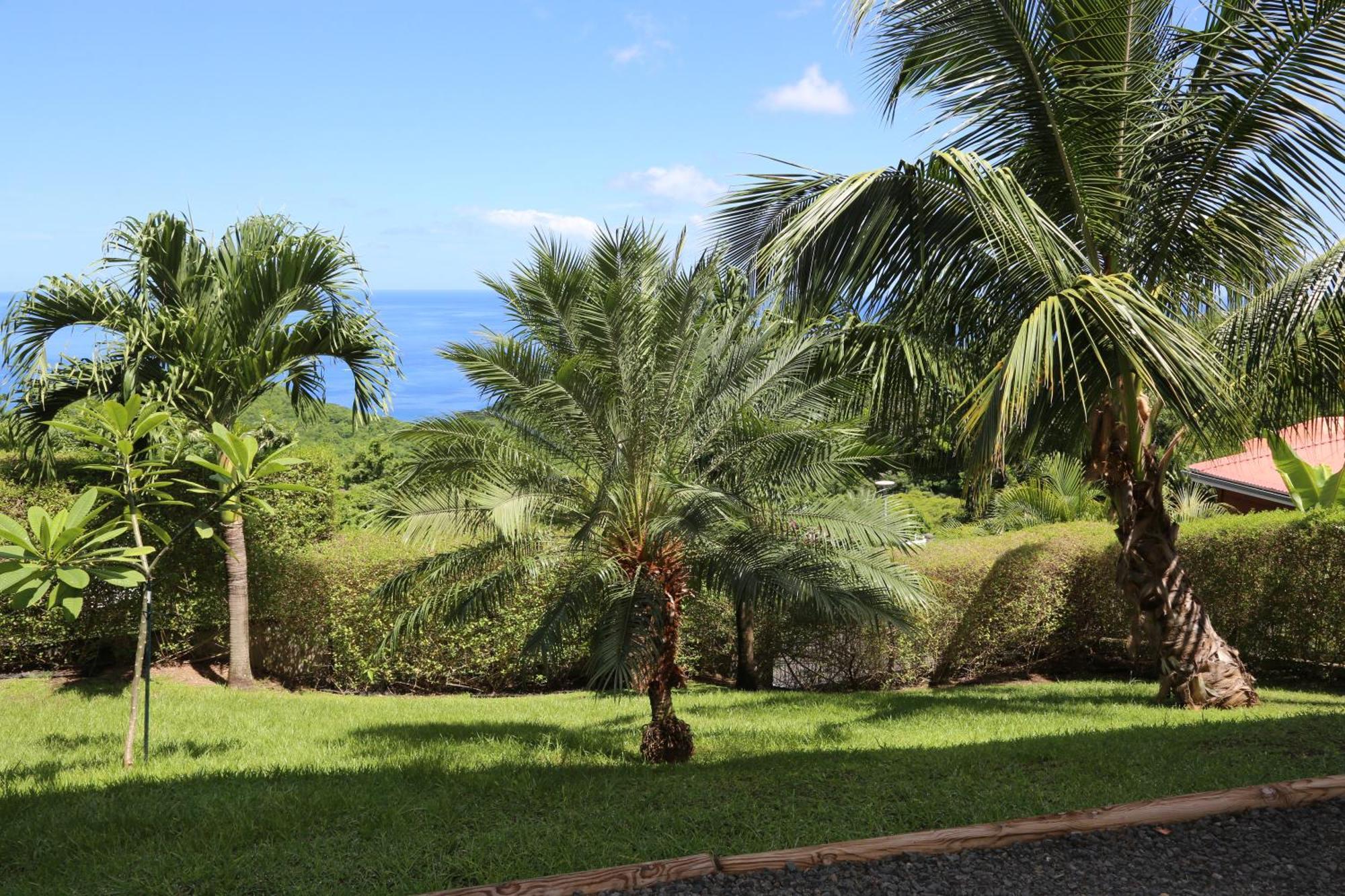 Caribbean Sea Apartamento Bouillante Exterior foto
