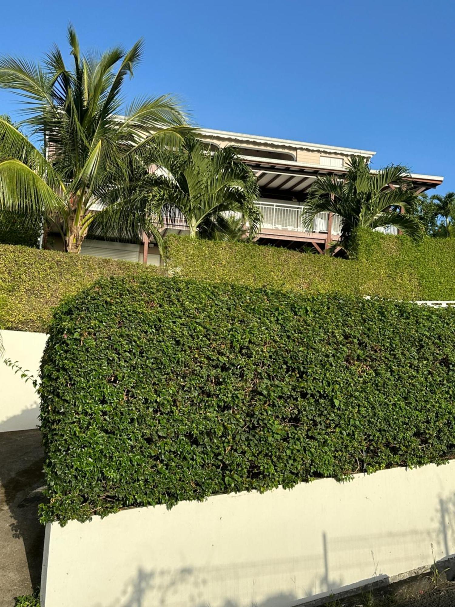 Caribbean Sea Apartamento Bouillante Exterior foto